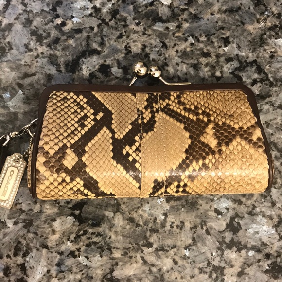 Coach Python Clutch - Picture 1 of 15